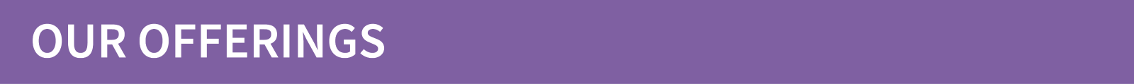 Our%20Offerings.png